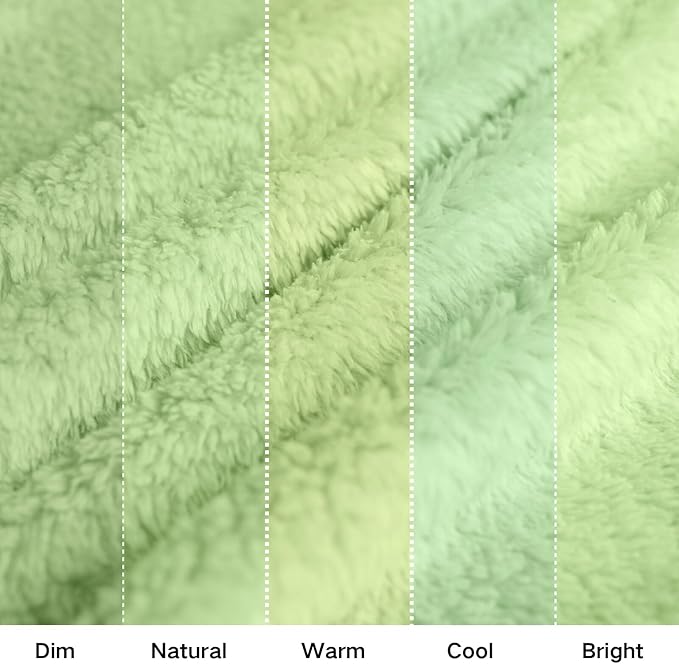 Sherpa Throw Blanket for Bed, Super Soft Cozy Fuzzy Plush Blankets for Winter, Reversible Thick Warm Blanket for Bed, Couch, Living Room, Sage, Throw Size 50"x 60"