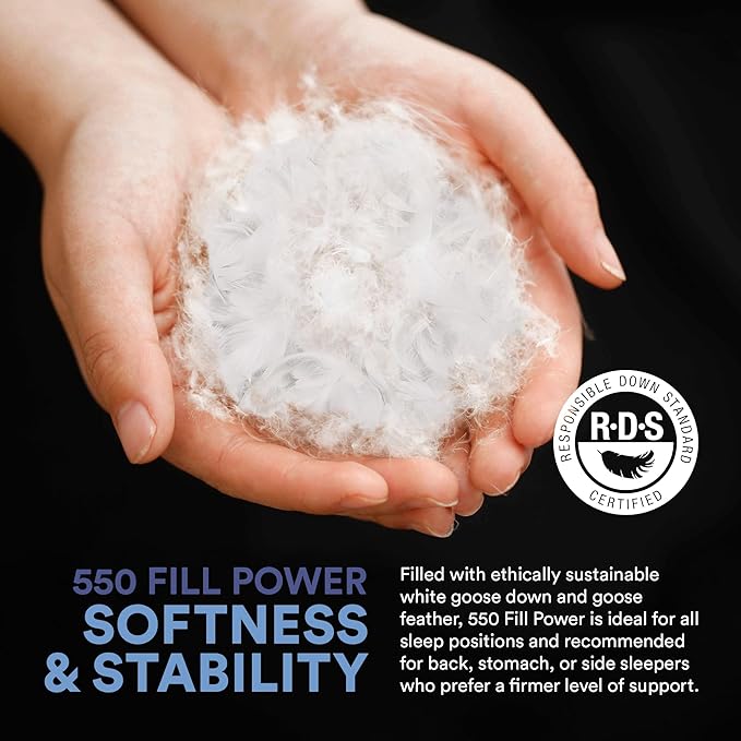 Continental Bedding Luxury Pillow 50/50 Goose Down and Feather Fill, Super Standard (Pack of 2), White 2 Count