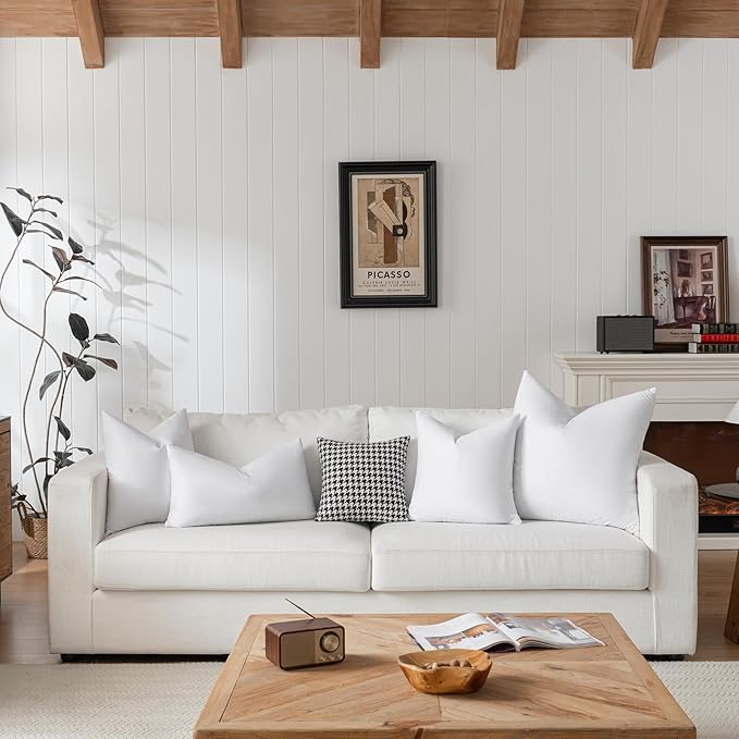 Euro Pillow Inserts 30x30 inchs - Feather and Down Fill - Cotton Fabric - Set of 2 Throw Pillow Insert