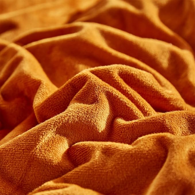 CLOTHKNOW Burnt Orange Queen Comforter Set 3Pcs Velvet Bedding Comforter Sets Rust Comforter Terracotta Comforter Queen with 2 x Pillow Cases
