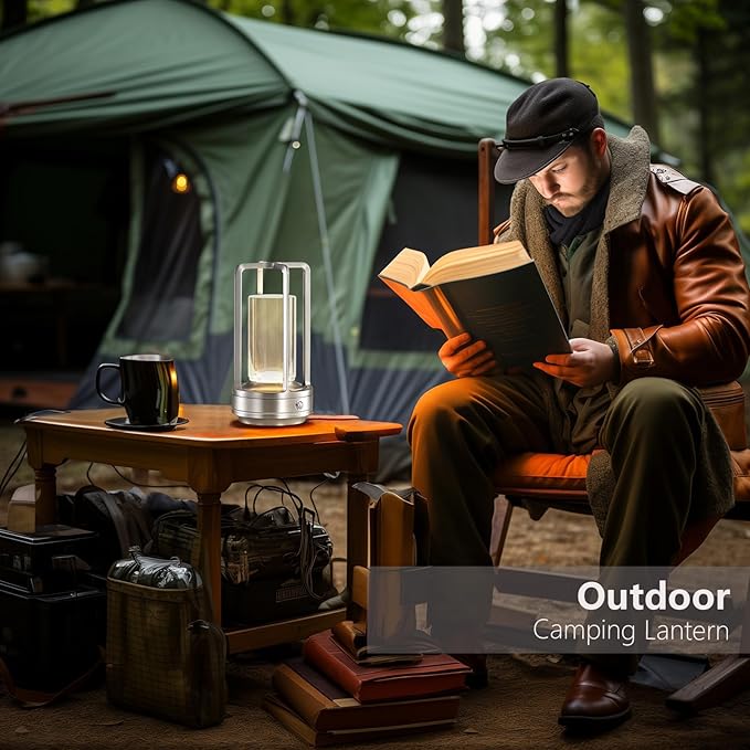 Portable Metal Table Lamp,Rechargeable Cordless LED Lamp for Indoor Outdoor, 3 Colour 4000MA Infinitely Dimming Battery Powered Small Desk Lamp, Restaurant Bedroom Bar Coffee Shop Camping Light-Silver