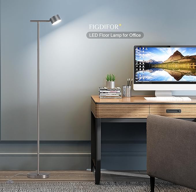 Floor Lamp for bedroom, 3 Color Temperatures Floor Reading Lamp with Flexible Lamp Cap, Modern Bedroom Floor Lamps for Living Room, Simple Design Standing Lamp for Office Working Study Silver