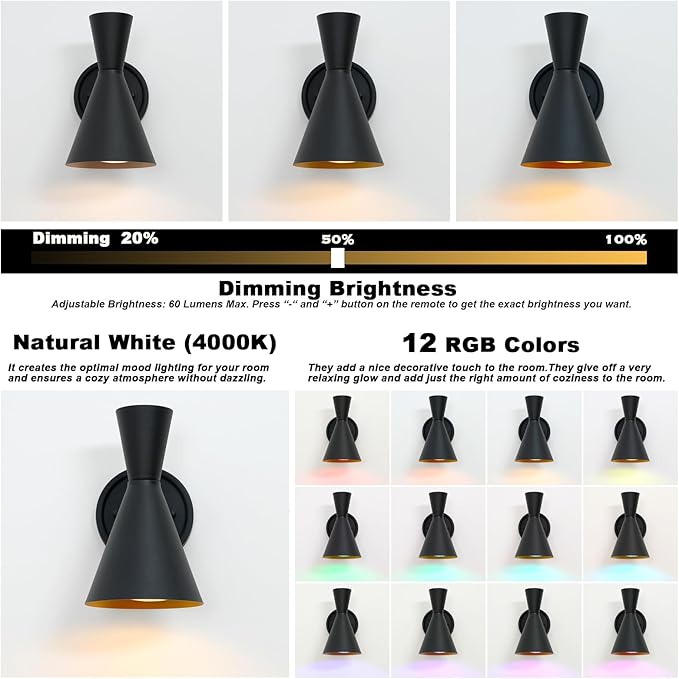 HEQIQEH Modern Battery Powered Adjustable Wall Sconces Light Set of 2 with Flared Funnel Metal Shade, 13 RGB Remote Control Dimmable Wall Mounted Lamp for Galleries, Hallway, Bedroom, Hotels