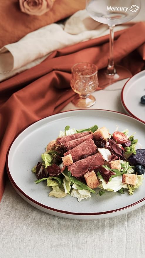 Famiware Mercury Plates and Bowls Sets, 12 Pieces Stoneware Dinnerware Sets, Dishes Set for 4, Microwave and Dishwasher Safe, Light Grey