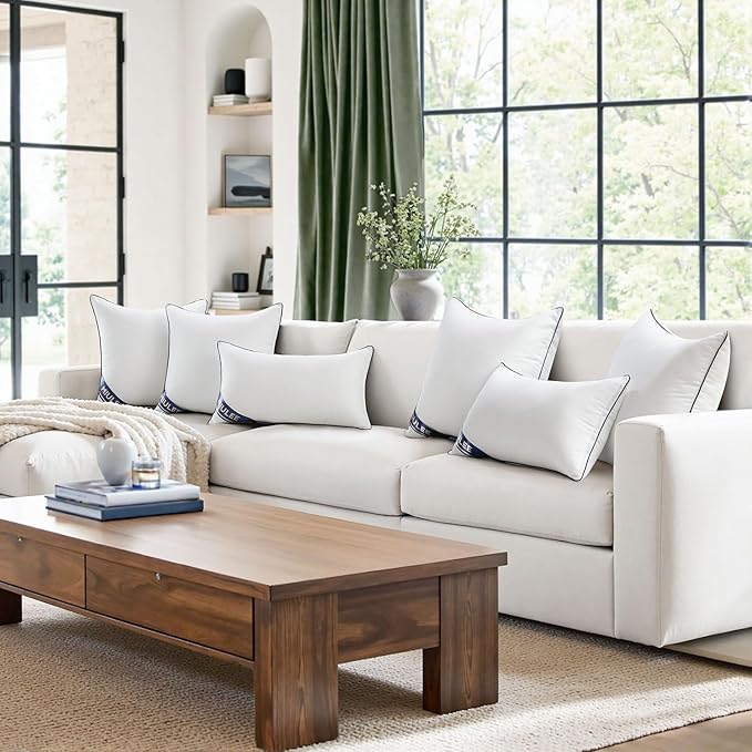 MIULEE 20x20 Pillow Insert Throw Pillow Premium Down Alternative Pillow Insert Square Decorative Pillow Stuffer for Sofa, Couch (20x20 inch)