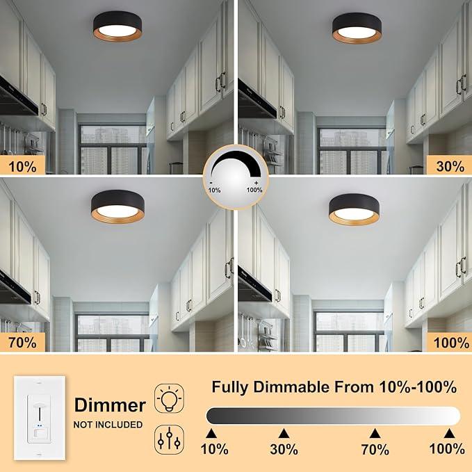 Dimmable Flush Mount Ceiling Light,Round 11.81 inch LED Ceiling Light,Modern Black with Gold Inside Lighting,24W 5CCT 3000K-6500K Selectable for Laundry Room Hallway Kitchen
