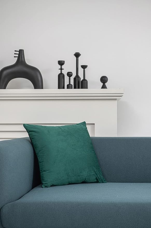 DEZENE Decorative Pillow Covers 18x18 Green: 2 Pack Cozy Soft Velvet Square Throw Pillow Cases for Farmhouse Home Decor