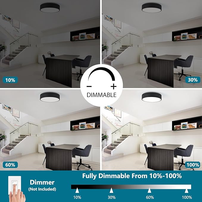 Modern Flush Mount 2-Light Round Black Ceiling Light Fixture, Minimalistic Acrylic Shade Lighting for Bedroom, Laundry Room, Foyer, Hallway (11.8")