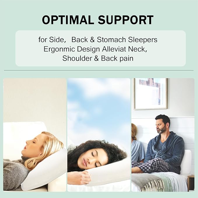 Talalay 100% Natural Premium Latex Pillow, Queen Bed Pillow with Removable Cotton Cover, Helps Relieve Pressure, Sleeping Pillow Suitable for Back and Side Sleepers and as Travel Pillow (Standard)