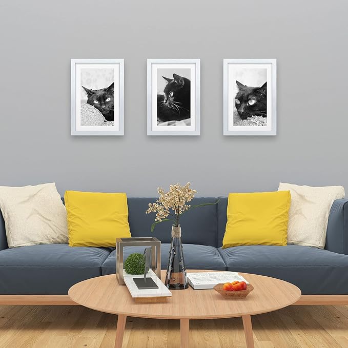 VCK Poster Frame 11×17 Inch Wooden Picture Frames White Certificate Frame with Plexiglass Wall Mounting Type for Gallery Office Home