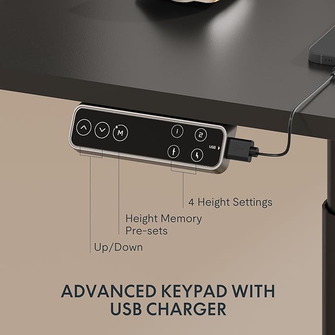 FLEXISPOT E6 Pro Oval Leg Dual Motor 3 Stages Standing Desk 60x24 Inch Whole-Piece Board Electric Height Adjustable Electric Sit Stand Up Desk 150KG Load Capacity (Black Frame + Black Desktop)