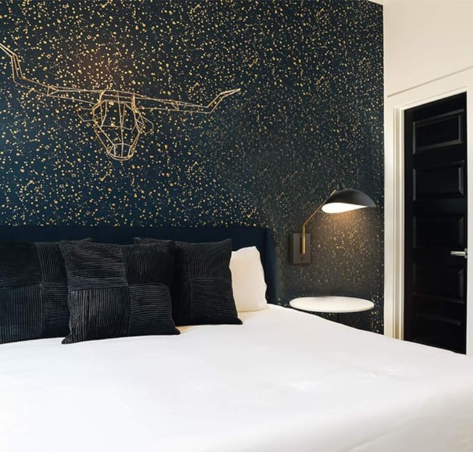 CLAXY Plug in Wall Sconce Swing Arm Bedroom Wall Light Matte Black with USB Charge Port-Set of 2, Plug in or Hardwired Wall Mounted Lights