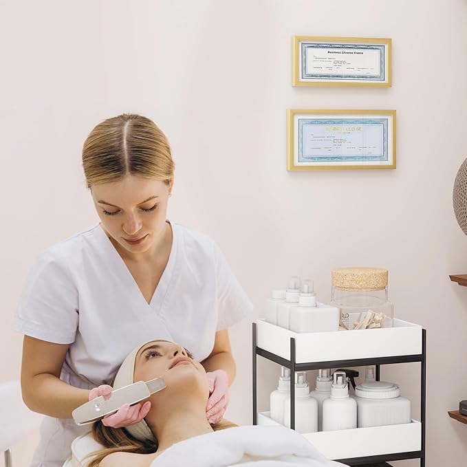 5x10 Metal License Frame - Gold Aluminum Photo Frames with Real Glass,Signature Collection,Tabletop Mounting Horizontally or Vertically Decor for Wall Gallery Poster Photo 10x5 Frames, Gold