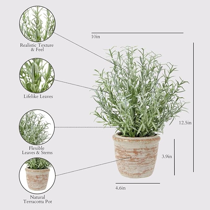 CG Hunter Faux Rosemary Plant & Olive Topiary, Set-of-2 Premium Artificial Indoor Plants, Enhances Interior Design, Lifelike-Leaves Create Realistic Natural Appearance, Grey Planter Pot Included