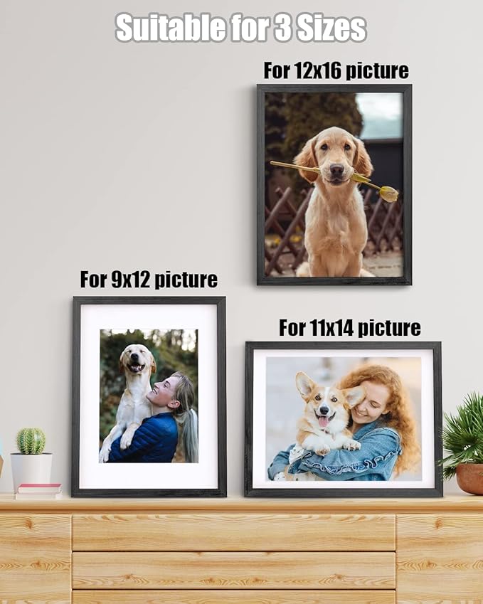 Egofine 12x16 Picture Frame Made of Solid Wood with Plexiglass, Display Pictures 9x12/11x14 with Mat or 12x16 Without Mat for Wall Mounting, Rustic Black