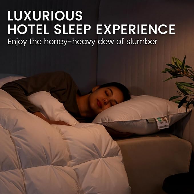 Alanzimo Goose Feathers Down Pillows Standard/Queen Size Set of 2, Luxury Soft Feather Down Pillow for Sleeping, 100% Cotton Cover Hotel Collection Bed Pillows for Back,Stomach or Side Sleepers 20x28