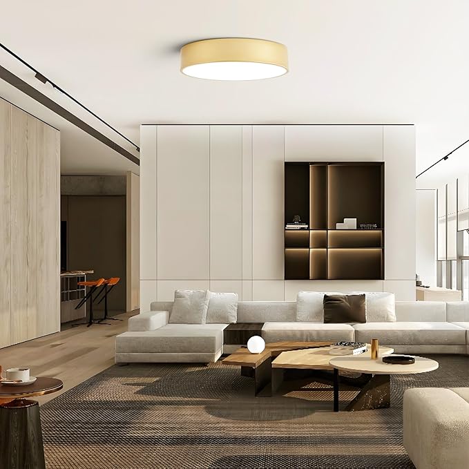 Dimmable Modern Large Flush Mount Close to Ceiling Light Fixture,Round Painted Gold LED Ceiling Mounted Lights Fixtures,5CCT 2700K-6000K Lighting for Kitchen Master Bedroom Living Room,15.7in