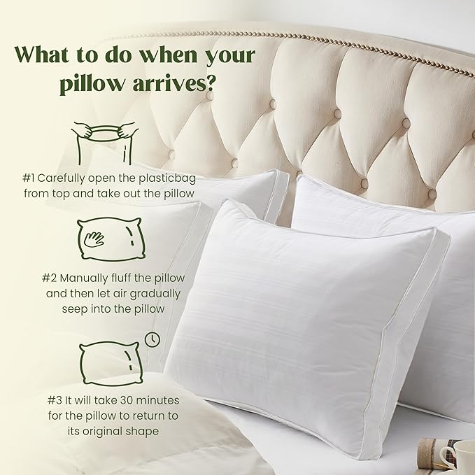 puredown® Goose Feathers and Down Pillow, Bed Pillow for Sleeping, Hotel Collection Gusseted 2 Outer Protectors, Cotton Fabric, White, King Size, Set of 2