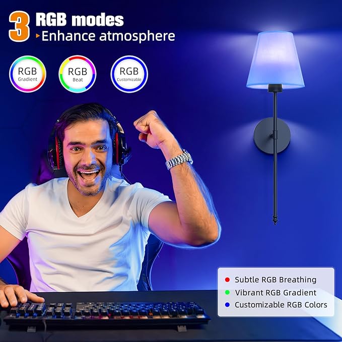 NIORSUN 19.9 inch Battery Operated Wall Sconce Set of 2,Black Rechargeable Wall Lights with 5200mAh Dimmable Detachable Bulbs and Remote,10 Colors Wireless Sconces for Bedroom Living Room Hallway