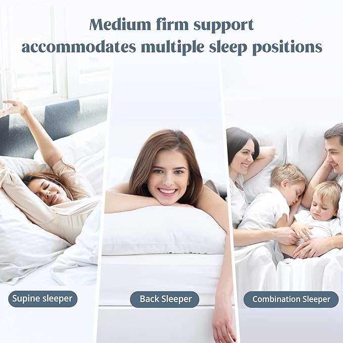 puredown® Premium White Goose Feather and Down Pillows, 2 Pack Luxury Bed Pillows for Sleeping with 100% Cotton Cover, Queen Size,Navy