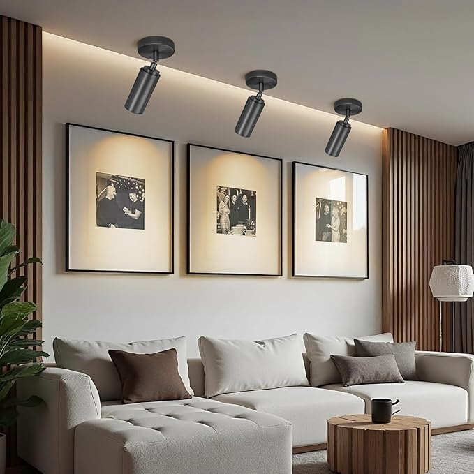 Matte Black Ceiling Spotlight, Hardwired LED Ceiling Spot Light Indoor, Flush Mounted Monopoint Ceiling Light, Modern Directional Spot Lights, Adjustable Spotlight Fixtures