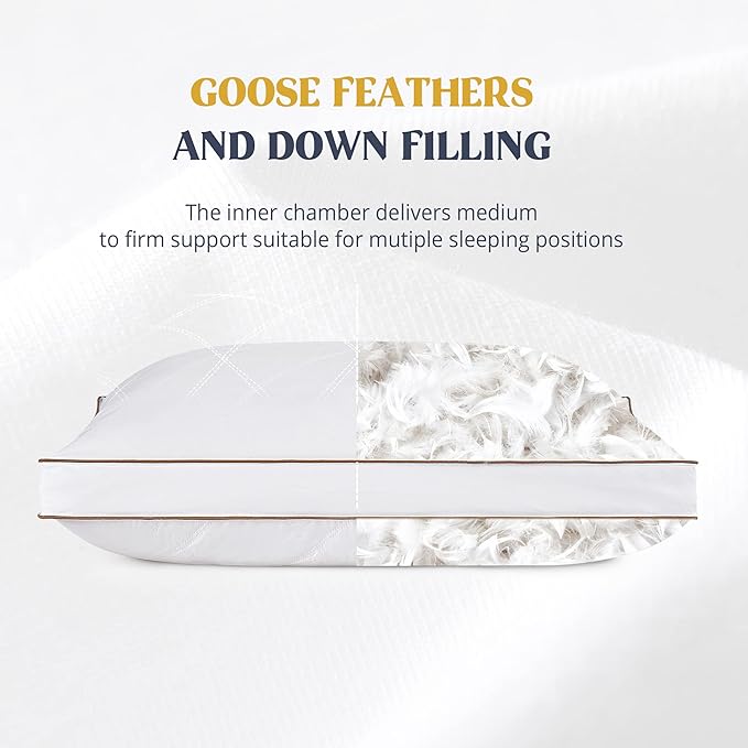 puredown® Goose Feathers and Down Pillow for Sleeping Gusseted Bed Hotel Collection Pillows, Queen, Set of 2