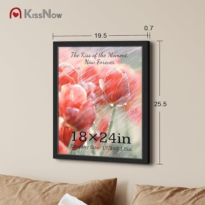 18x24 Poster Frame 4 Pack, Black Solid Wood Picture Frame with Polished Plexiglass, Wall Hanging