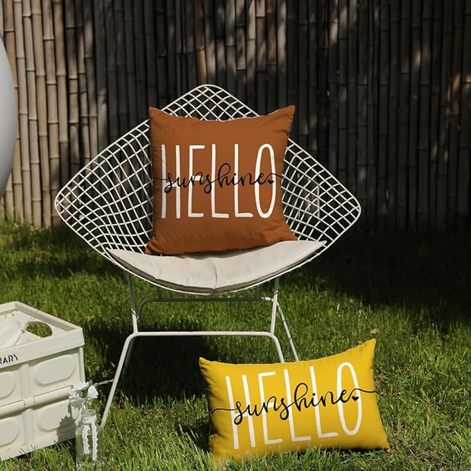 DFXSZ Outdoor Pillow Covers 18x18 Inch Set of 2 Hello Sunshine Decor Rust Waterproof Summer Outdoor Pillowcases Decor for Patio Funiture Garden Sofa Couch 020L18