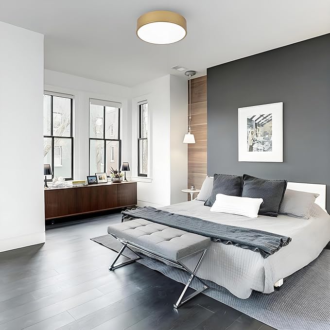 Modern Gold Flush Mount Ceiling Light, 2-Lights Round Ceiling Light, Minimalistic Ceiling Lamp Acrylic Shade Lighting Fixture for Bedroom Laundry Room Bathroom Hallway(11.8 Inch)