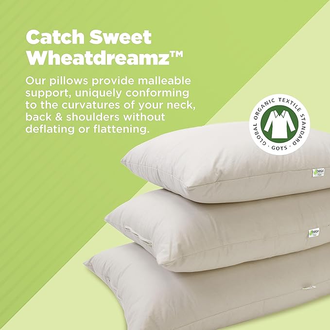 Bean Products Kapok 14" x 20" Japanese Pillow - Breathable, Eco-Friendly and Durable Organic Cotton Fabric Bed Pillow - Soft and Supportive Pillow for Sleeping, Made in The USA