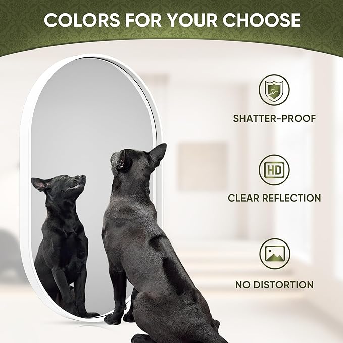 Suidia 20" x 30" Bathroom Mirror, Bathroom Vanity Mirror Metal Framed, Wall-Mounted Mirrors for Bedroom, Living Room, Entryway, Hallway, White, Oval Style