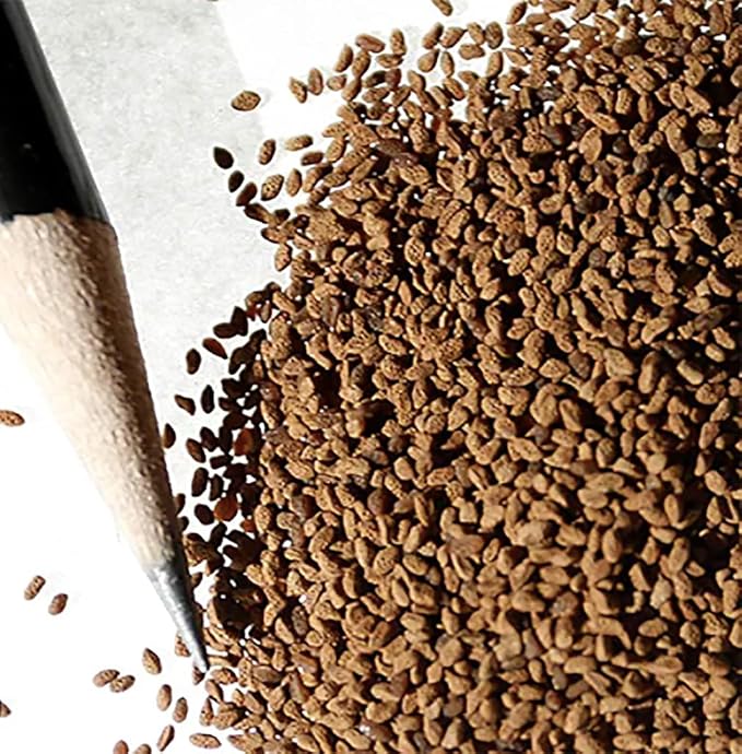 3,000+ California Bluebells Wildflower Seeds - California Native Wildflower - Nemophila Menziesii S