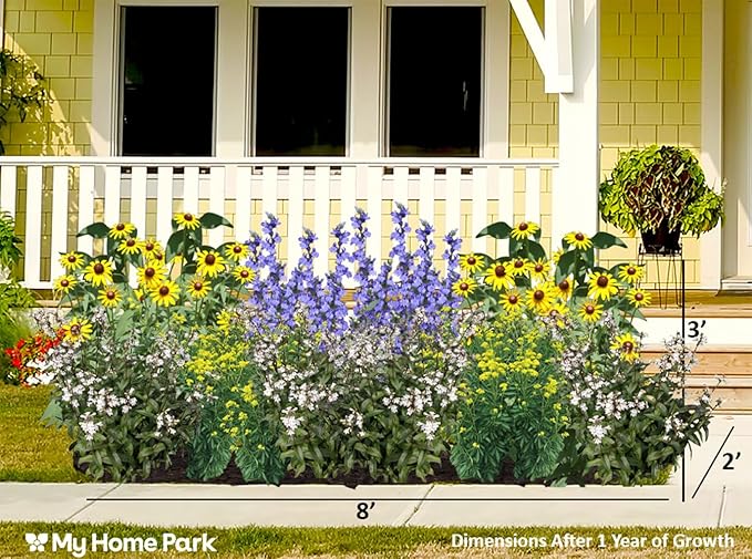 16 Outdoor Native Plants for Full Sun & Wet Ground – Includes Brown-Eyed Susan, Golden Alexanders, Smooth Penstemon & Great Blue Lobelia – Not Seeds – 4–8” Tall on Arrival – Easy to Grow Perennials