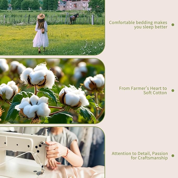 Bedlifes 1000 Thread Count 100% Egyptian Cotton Queen Size Sheets Set - Sateen Soft Silky Breathable Luxury Cooling 4 Pieces (Olive Green)