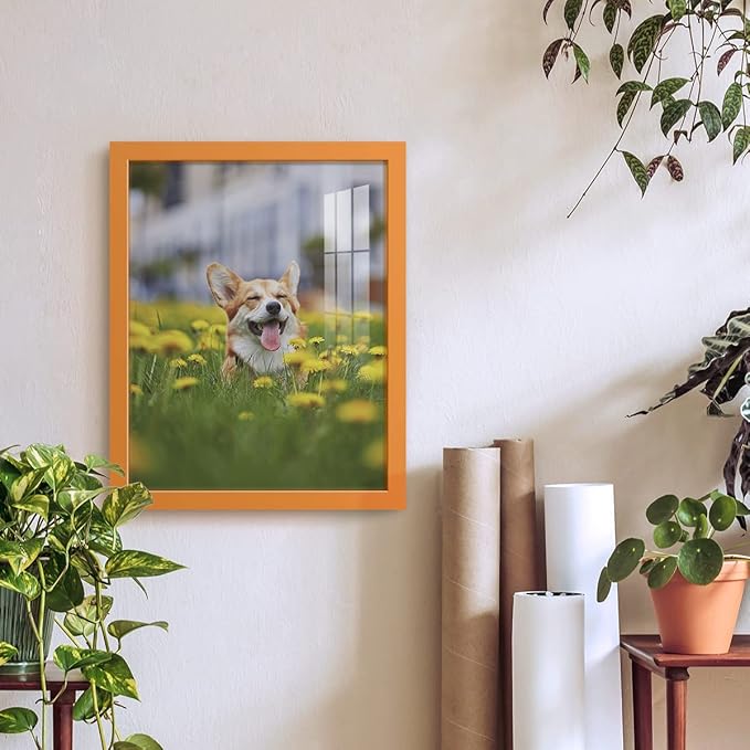 Renditions Gallery 11x14 inch Picture Frame High-end Modern Style, Made of Solid Wood and High Definition Glass Ready for Wall and Tabletop Photo Display, Orange Frame