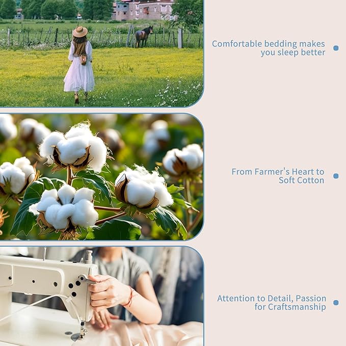 Bedlifes 1000 Thread Count 100% Egyptian Cotton Queen Size Sheets Set - Sateen Soft Silky Breathable Luxury Cooling 4 Pieces (Mineral Blue)