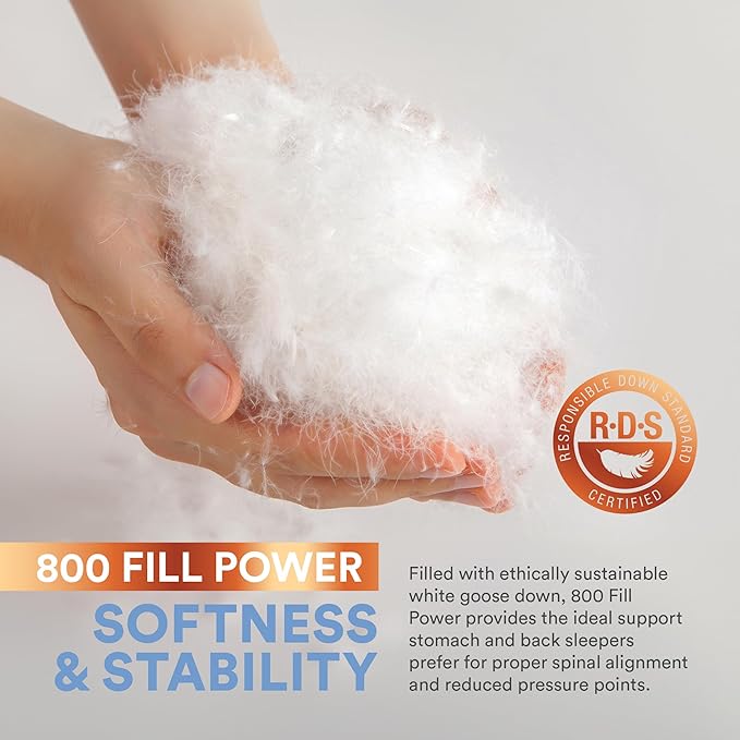 Continental Bedding 100% Siberian Goose Down Pillow 800 Fill Power, Firm, Standard, White