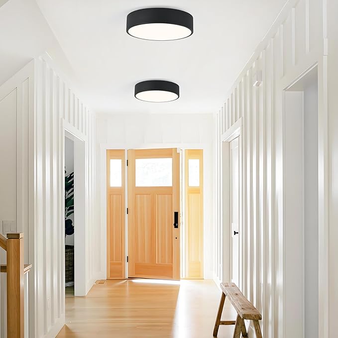 Modern Flush Mount Ceiling Light, 2-Lights Black Ceiling Light, Minimalistic Ceiling Lamp Acrylic Shade Lighting Fixture for Bedroom Laundry Room Foye Hallway(11.8 Inch)