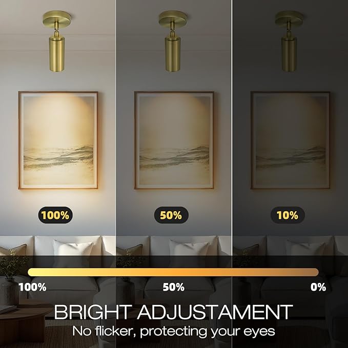Brass Ceiling Spotlight, Hardwired LED Ceiling Spot Lights, Flush Mounted Directional Ceiling Light, Indoor Spotlight Fixtures, Adjustable Monopoint Spot Lights for Living Room Dining Room