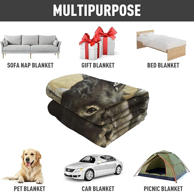 Donkeys Blanket Cute Animals Fleece Blanket Soft Fuzzy Plush Throw Blankets for Couch Bed 40"x50"