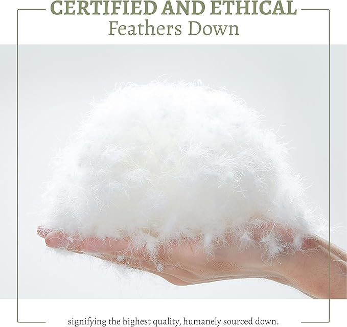 Feather Down Fiber Comforter King Size,Hotel Style Bedding Comforter,1200TC,100% Organic Cotton Fabric,All Season White Duvet Insert with 8 Corner Tabs