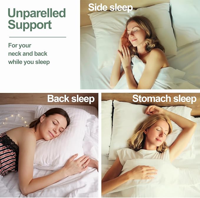 Latex Pillow, 100% Natural Talalay Latex Pillow with Removable Breathable Cotton Cover, Luxurious Standard Size Soft Bed Pillow for Side Back and Stomach Sleepers, Help Release Neck Pressure