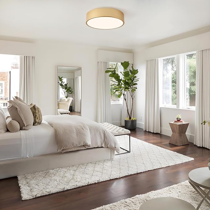 Modern Flush Mount Ceiling Light, 2-Lights Gold Ceiling Light, Minimalistic Ceiling Lamp Acrylic Shade Lighting Fixture for Bedroom Laundry Room Foye Hallway(11.8 Inch)