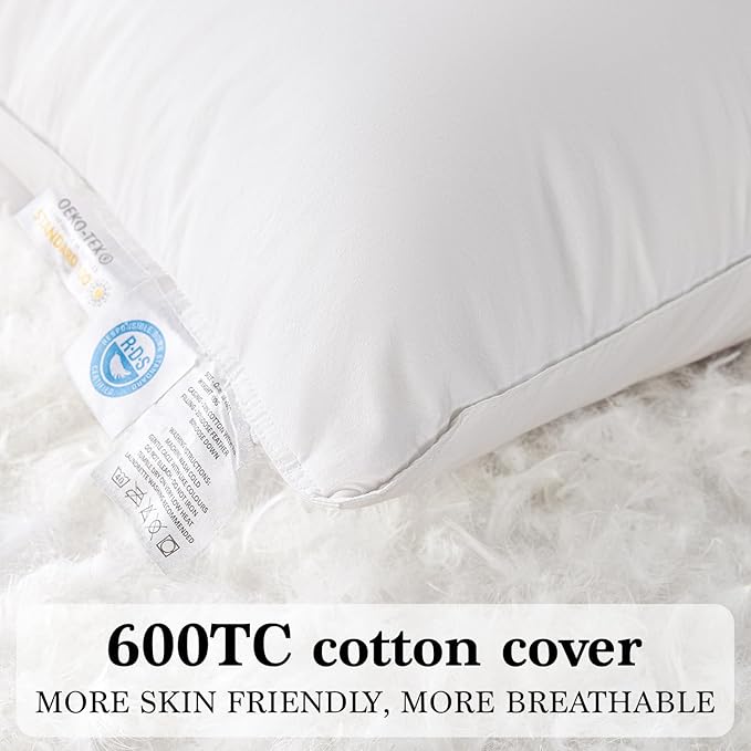 Shilucheng Goose Down and Feather Pillows Standard Size Set of 2 Pack, Luxury Hotel Quality Bed Pillows for Side Back Stomach Sleepers, Soft 100% Cotton Shell（White,20" x 26"）