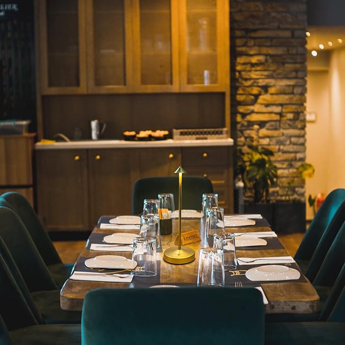 Rechargeable Cordless Table Lamp,Small Table Lamp,Portable LED Touch 2 Levels Brightness Dimmable Bar Lamp,Battery Powered Desk Lamp for Bars,Restaurant,Living Room(Gold)