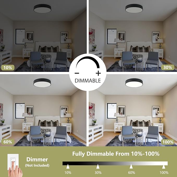 Modern Flush Mount Ceiling Light, 3-Lights Black Ceiling Light, Minimalistic Ceiling Lamp Acrylic Shade Lighting Fixture for Bedroom Laundry Room Bathroom Hallway(15.8 Inch)