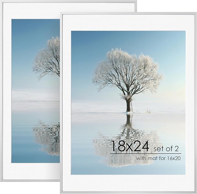 18x24 Metal Picture Frame For Wall With Mat For 16x20, 18''x24'' Aluminum Photo Frames With Tempered Glass, Minimalist Modern Poster Frame Horizontally Vertically Set of 2, Silver