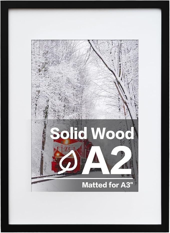 Egofine A2 Solid Wood Picture Frame, Made of Solid Wood Covered by Plexiglass A3 with Mat 16.5 x 23.4 without Mat, Poster Frame for Wall Mounting Hanging Photo Frame Vertically or Horizontally, Black