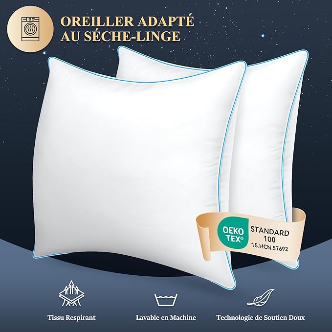 DP01 Bed Pillow, Throw 60x60cm Set of 2, Sky Blue Side 2 Count
