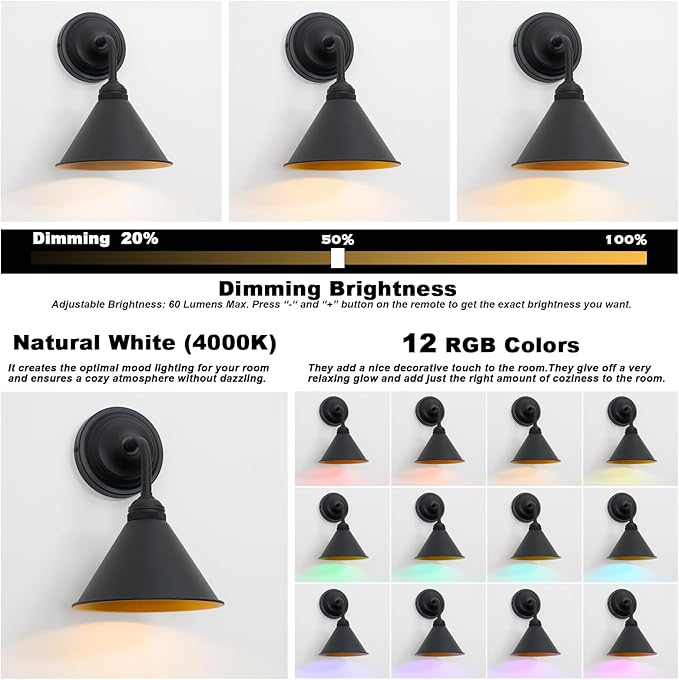 HEQIQEH Modern Battery Operated Wall Sconces Set of 2 with Metal Lamp Shade, 13 RGB Color Changing Dimmable Battery Wall Mounted Lamps with Remote Control for Bedroom, Galleries, Hallway, Hotels